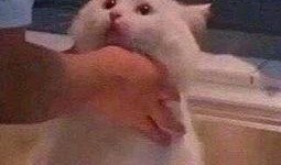 今日吃瓜-热心的朝阳群众吃瓜 今日吃瓜,今日吃瓜事件盘点